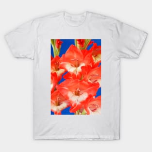 Gladiolus  'Daniella' T-Shirt